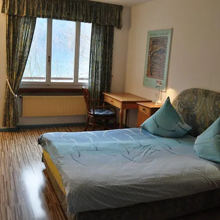 Seehotel Baeren 3* Brienz (Bern)