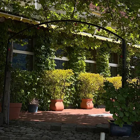 Seehotel Baeren Бриенц