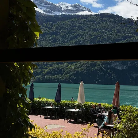 Seehotel Baeren 3* Бриенц