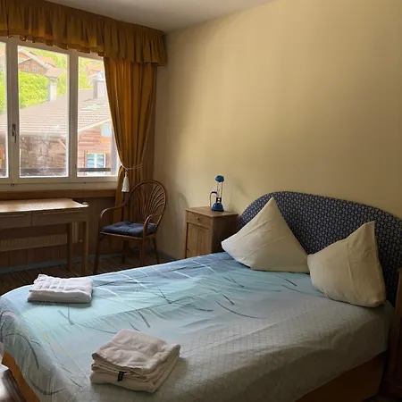 Seehotel Baeren Мини-отель 3*