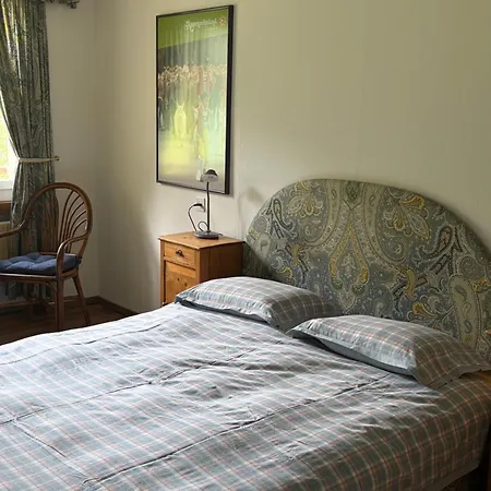 Мини-отель Seehotel Baeren 3*