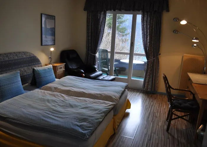 Gasthof Seehotel Bären 3*