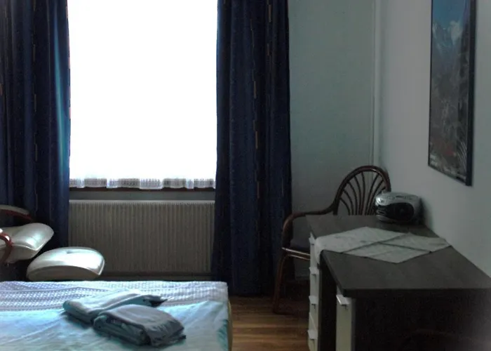 Seehotel Baren 3* Brienz (Bern)