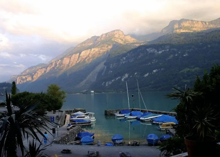 Inn Seehotel Baren 3*