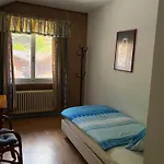 Seehotel Baeren 3*