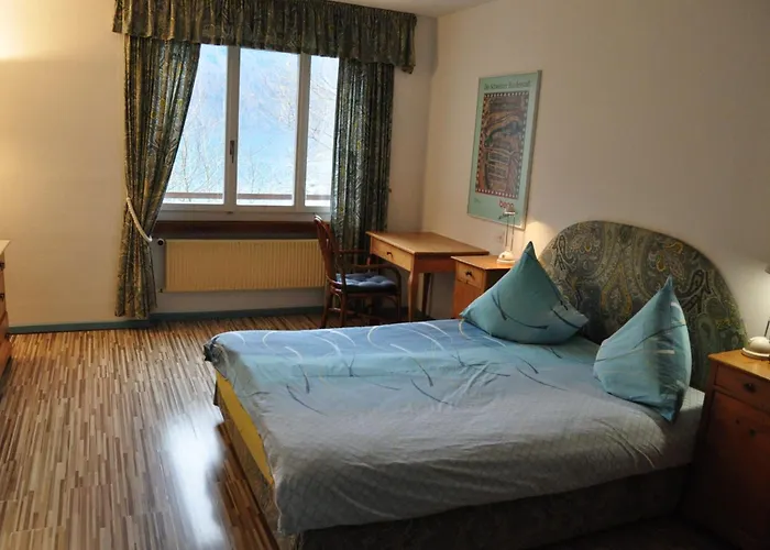 Seehotel Baeren 3* 브리엔츠